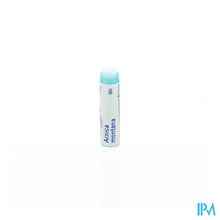 Charger l&#39;image dans la galerie, Arnica Montana Mk Gl Boiron
