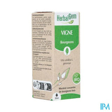 Load image into Gallery viewer, Herbalgem Wijnstok Maceraat Bio 30ml
