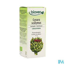 Afbeelding in Gallery-weergave laden, Artisjok Tinct Bio 50ml Biov
