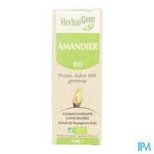 Charger l'image dans la galerie, Herbalgem Amandel Maceraat 15ml
