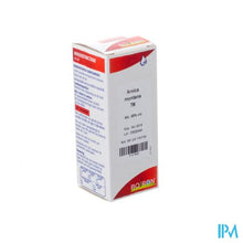 Afbeelding in Gallery-weergave laden, Arnica Montana Us.ext. Tm 60ml Boiron

