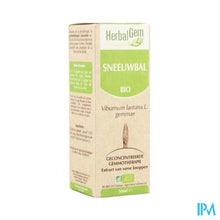 Charger l'image dans la galerie, Herbalgem Wollige Sneeuwbal Maceraat 50ml
