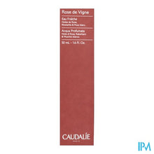 Afbeelding in Gallery-weergave laden, Caudalie Eau Fraiche Rose De Vigne 50ml Nf
