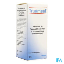 Load image into Gallery viewer, Traumeel Druppels 100ml Heel
