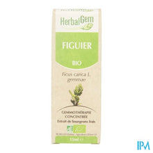 Charger l'image dans la galerie, Herbalgem Vijgenboom Maceraat 15ml
