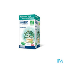 Afbeelding in Gallery-weergave laden, Biolys Eucalyptus Bio Tea-bags 20
