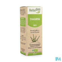 Charger l'image dans la galerie, Herbalgem Tamarisk Maceraat 50ml
