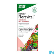 Afbeelding in Gallery-weergave laden, Salus Floravital 250ml
