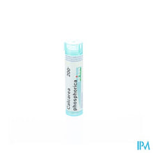 Load image into Gallery viewer, Calcarea Phosphorica 200k Gr 4g Boiron
