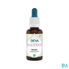Load image into Gallery viewer, Deva 6 Kerspruim Bio 30ml
