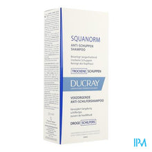 Load image into Gallery viewer, Ducray Squanorm Sh Droge Schilfers 200ml
