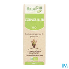 Charger l'image dans la galerie, Herbalgem Kornoelje Maceraat 50ml
