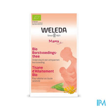 Charger l'image dans la galerie, Weleda Borstvoedingsthee Bio Zakje 20x2g
