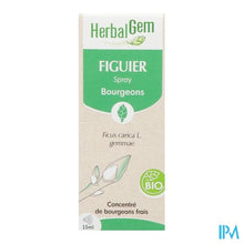 Afbeelding in Gallery-weergave laden, Herbalgem Vijgenboom Bio Spray 15ml
