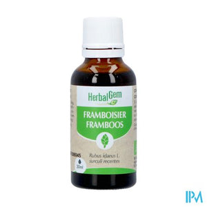 Herbalgem Frambozenstruik Bio 30ml