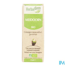 Charger l'image dans la galerie, Herbalgem Meidoorn Maceraat 15ml
