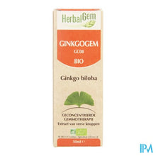 Charger l'image dans la galerie, Herbalgem Ginkgogem Complexe Gutt 50ml
