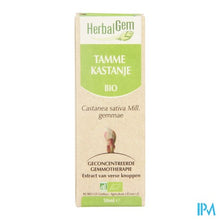 Charger l'image dans la galerie, Herbalgem Kastanje Maceraat 50ml
