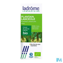 Afbeelding in Gallery-weergave laden, Ladrome Plantago Lanceolata/smalle Weegbree 50ml
