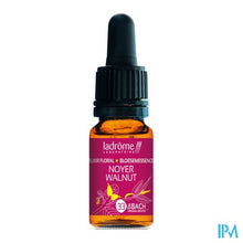 Afbeelding in Gallery-weergave laden, Ladrome Walnoot/walnut 10ml
