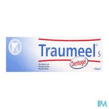 Load image into Gallery viewer, Traumeel S Dentogel 50g Heel

