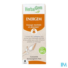 Charger l'image dans la galerie, Herbalgem Energem Bio 30ml
