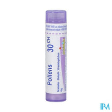 Load image into Gallery viewer, Pollens 30ch Gr 4g Boiron
