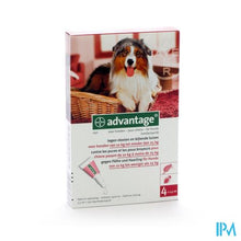 Afbeelding in Gallery-weergave laden, Advantage 250 Honden 10<25kg 4x2,5ml
