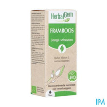 Load image into Gallery viewer, Herbalgem Frambozenstruik Bio 30ml
