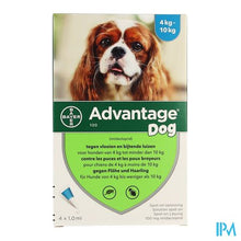 Afbeelding in Gallery-weergave laden, Advantage 100 Honden 4<10kg 4x1,0ml
