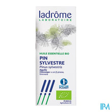 Charger l'image dans la galerie, Ladrome Pinus Sylvestris/den 10ml
