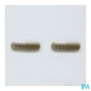 Arkocaps Ginkgo Biloba Plantaardig 150 Cfr 3733110