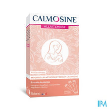 Charger l'image dans la galerie, Calmosine Borstv. Plant Biotine Magn. Stick14x10ml
