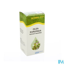 Afbeelding in Gallery-weergave laden, Olea Europaea Gemmo D1 125ml Boiron
