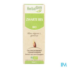 Load image into Gallery viewer, Herbalgem Zwarte Bes Maceraat 50ml
