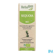 Charger l'image dans la galerie, Herbalgem Sequoia Maceraat 15ml
