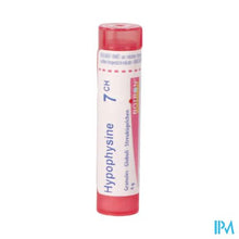 Afbeelding in Gallery-weergave laden, Hypophysine 7ch Gr 4g Boiron
