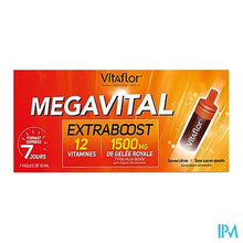 Load image into Gallery viewer, Vitaflor Megavital Extraboost Amp 7x10ml
