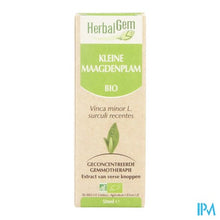 Charger l'image dans la galerie, Herbalgem Maagdenpalm Maceraat 50ml

