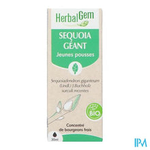 Load image into Gallery viewer, Herbalgem Mammoetboom Bio 30ml

