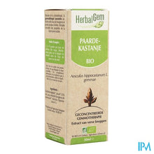 Charger l'image dans la galerie, Herbalgem Paardekastanje Maceraat 50ml
