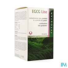 Charger l'image dans la galerie, Fytostar Egcg Line Maxi Caps 120

