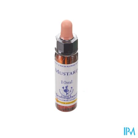 Healing Herbs Mustard 10ml
