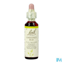 Charger l'image dans la galerie, Bach Flower Remedie 07 Chestnut Bud 20ml
