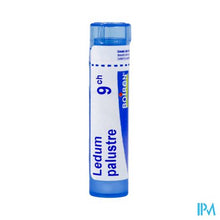 Afbeelding in Gallery-weergave laden, Ledum Palustre 9ch Gr 4g Boiron
