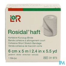 Afbeelding in Gallery-weergave laden, Rosidal Haft Cohesieve Windel 6cmx5m 1 31973
