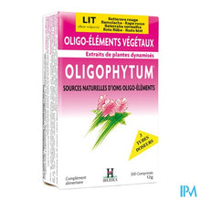 Afbeelding in Gallery-weergave laden, Oligophytum Lithium Tube Microcomp 3x100 Holistica
