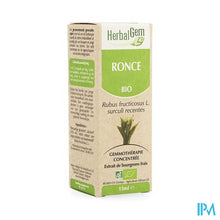 Charger l'image dans la galerie, Herbalgem Braamstruik Maceraat 15ml
