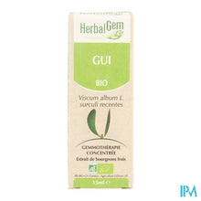 Charger l'image dans la galerie, Herbalgem Maretak Maceraat 15ml
