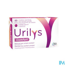 Charger l'image dans la galerie, Urilys-Comfort              Tabl 60
